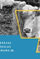 KASPARS PODNIEKS. IZSTĀDE “DIVRADZIS” attēls